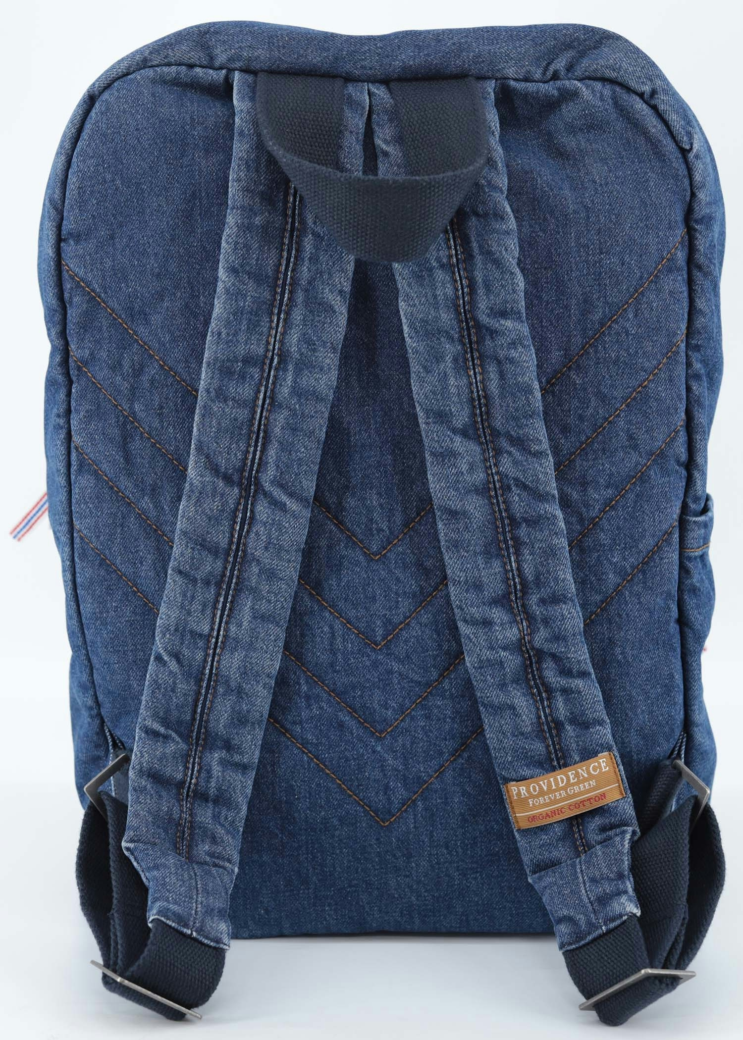 Flight Backpack back view