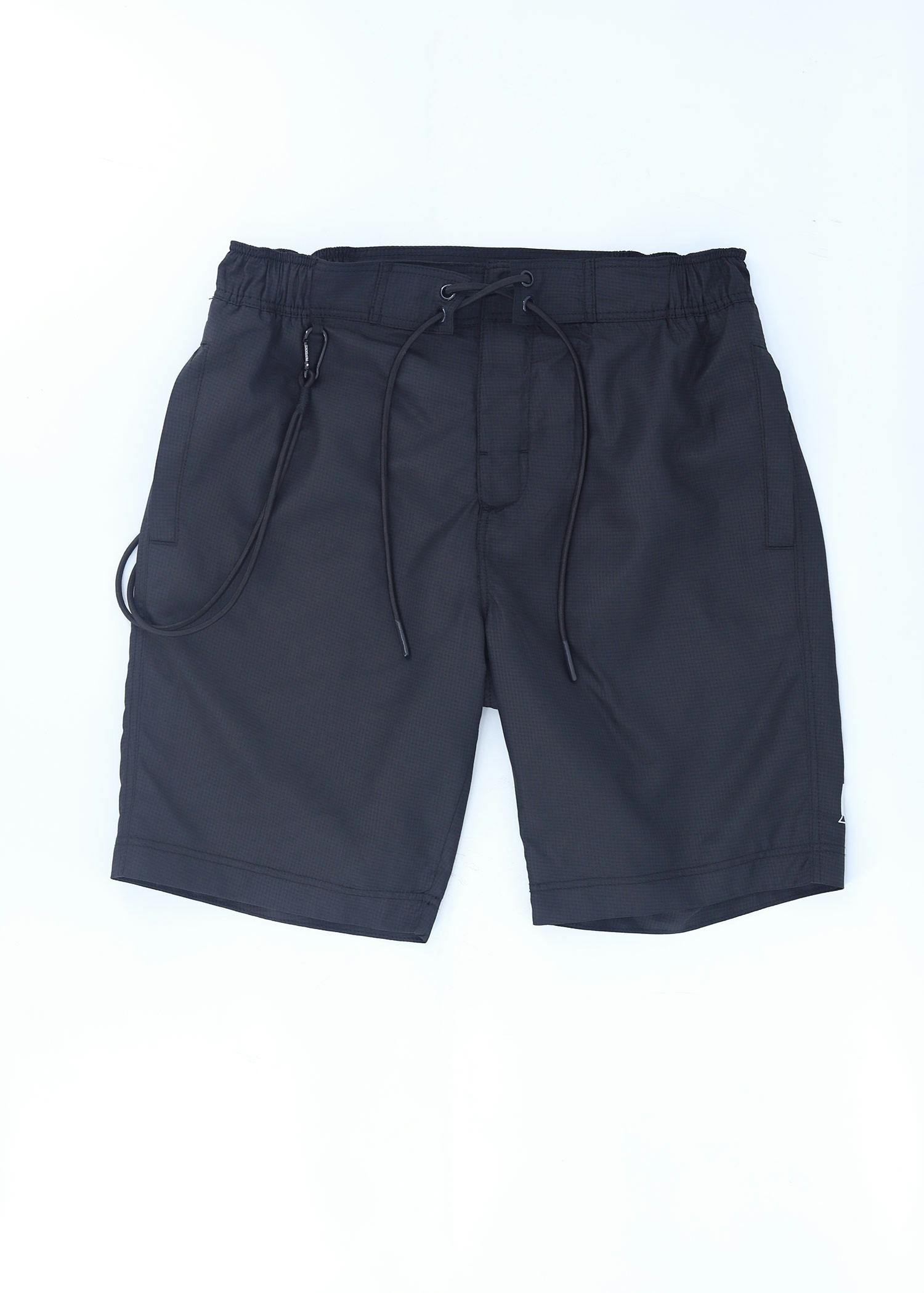 laridae i short black color front view