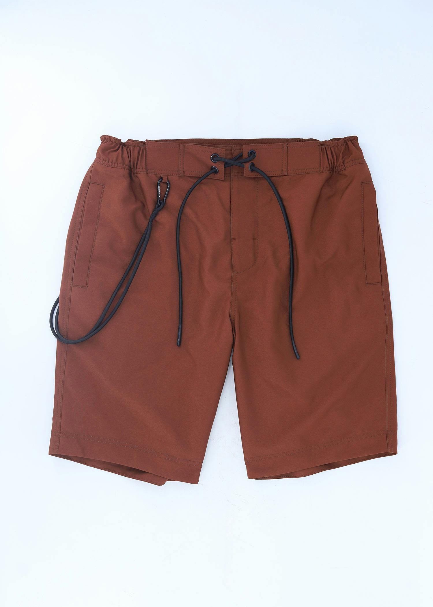 laridae i short lt brown color front view