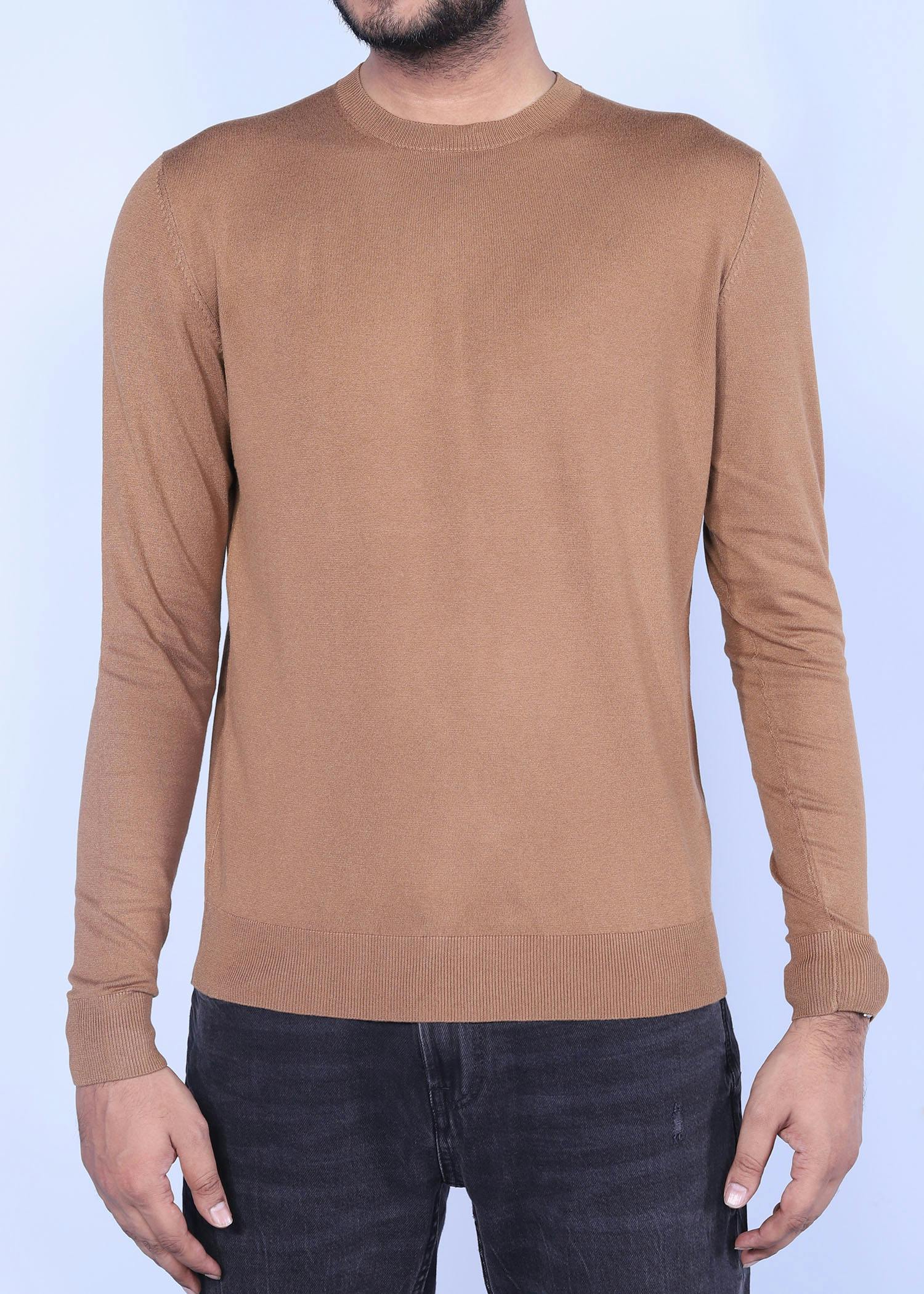 rock pigeon sweater tobaco color half front view